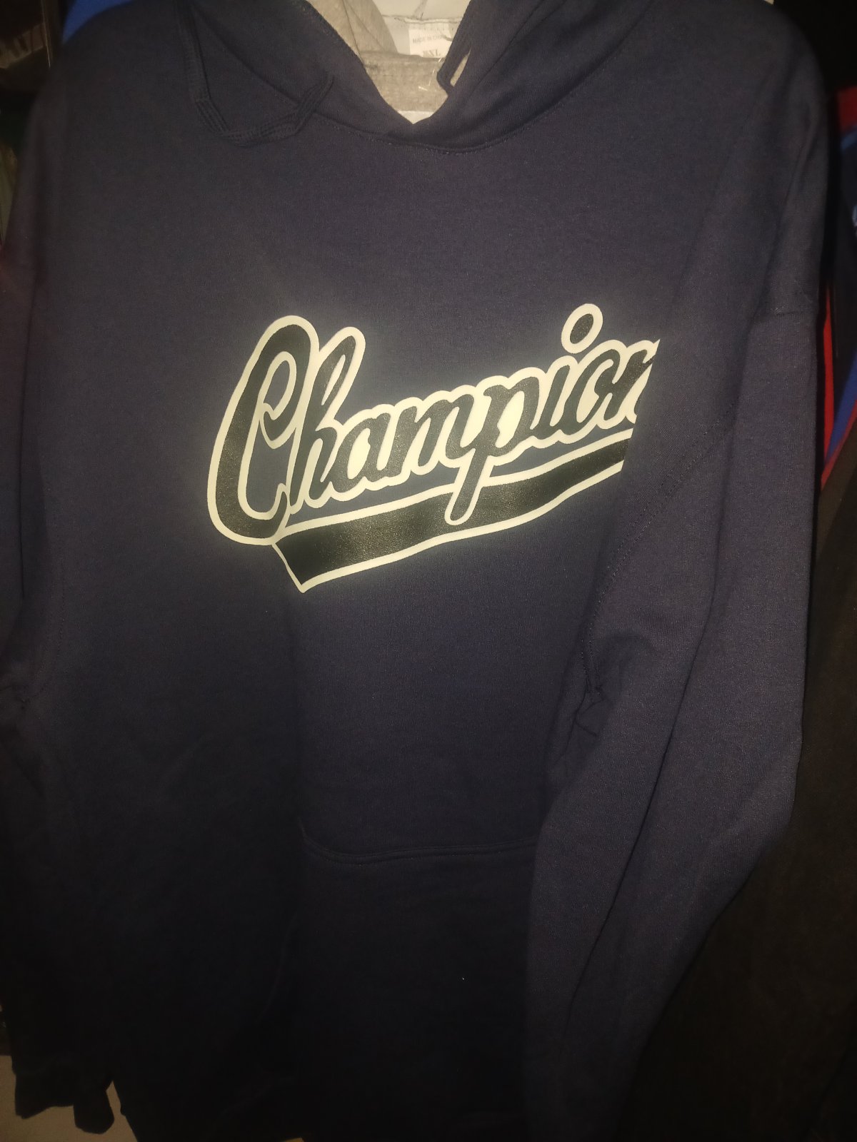 Champion Blue Hoodie Sweatshirt